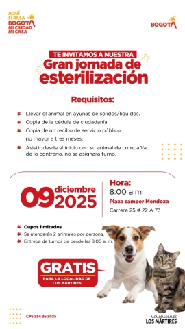 Pieza oficial de la jornada