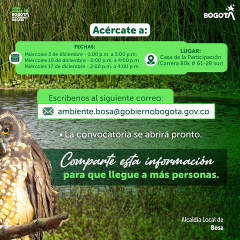 Proceda a presentar su propuesta de Proyecto Comunitario de Educación Ambiental Bosa
