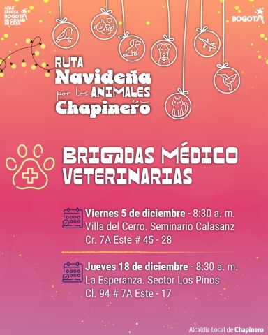 pieza gráfica evento 