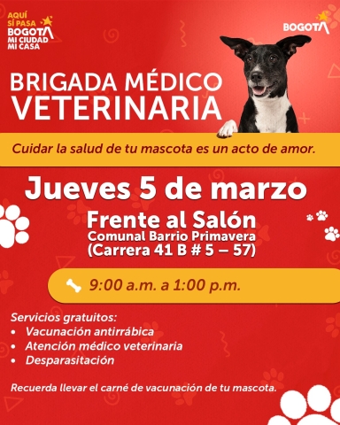 BRIGADA MÉDICO VETERINARIA 