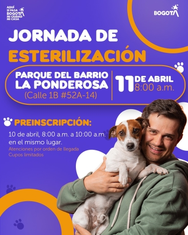 Jornada de esterilización