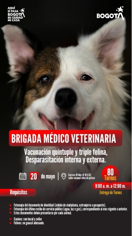 Brigada médico veterinaria