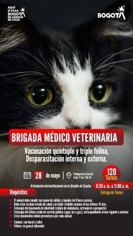 Brigada médico veterinaria