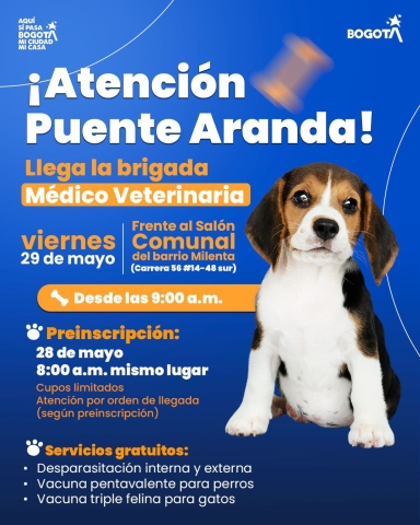 Brigada Médico Veterinaria