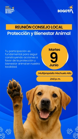 Consejo local de bienestar animal