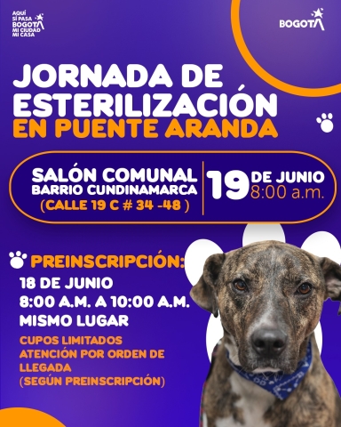 Jornada de Esterilización en Puente Aranda