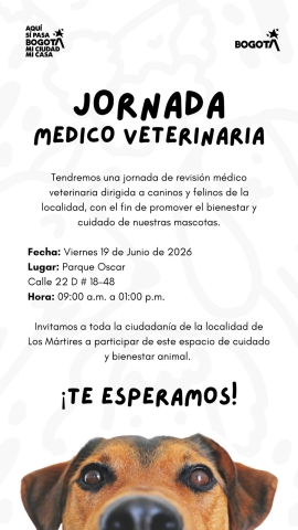 Jornada médico veterinaria.