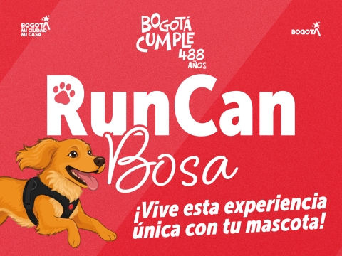 Run Can Bosa 3K 