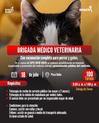 Brigada médico veterinaria