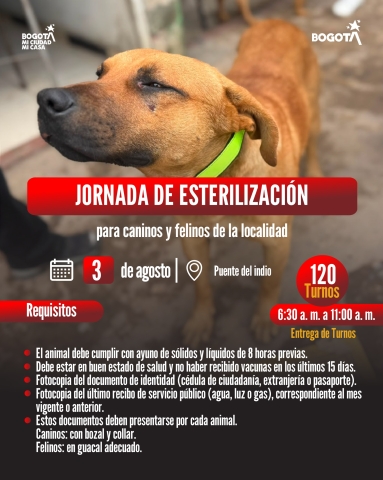 Jornada de esterilización