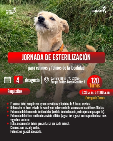 Jornada de esterilización