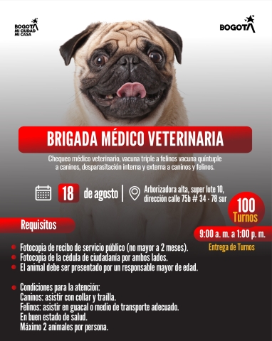Brigada médico veterinaria