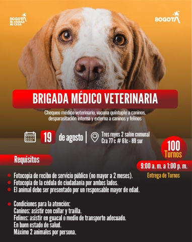 Brigada médico veterinaria