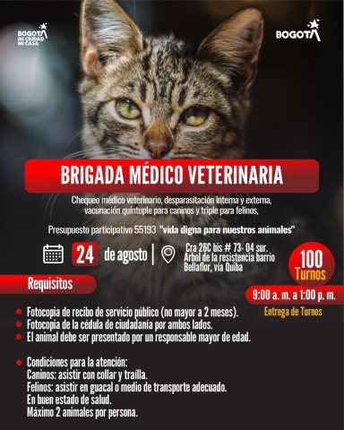 Brigada médico veterinaria