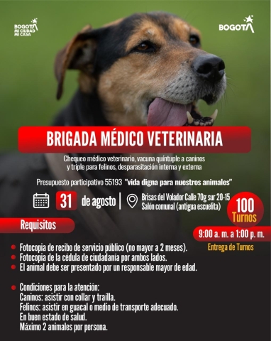  Brigada veterinaria