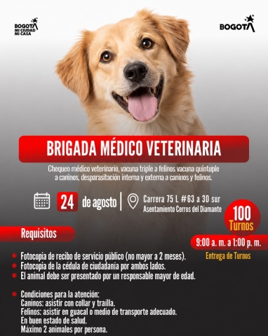 Brigada médico veterinaria