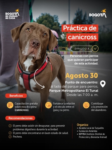 Práctica de canicross