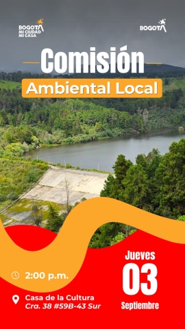 Comisión Ambiental Local
