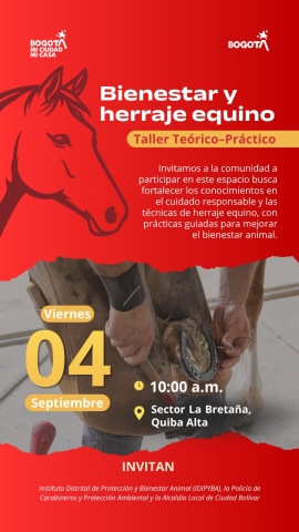 Taller bienestar equino