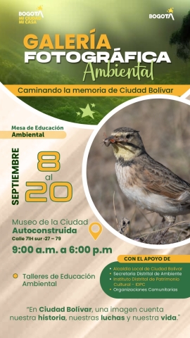 taller de educación ambiental