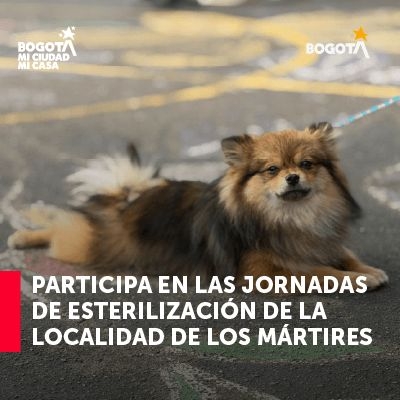 Jornadas de esterilización Los Mártires