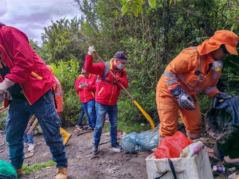 La Candelaria 2025 en cifras