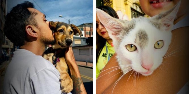 Brigadas veterinarias gratuitas para tu mascota - Localidad de Los Mártires