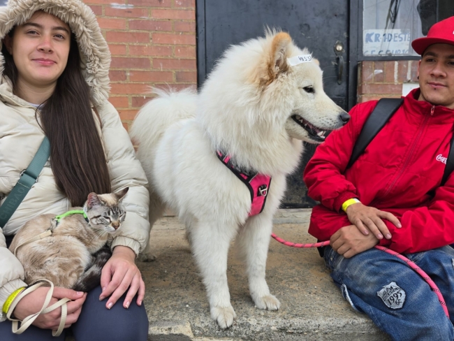 En Usme el bienestar de nuestros animales es prioridad