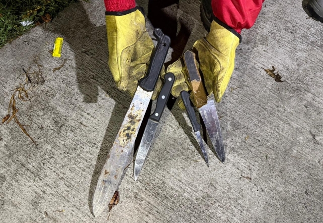 Armas incautadas en operativo en Usaquén