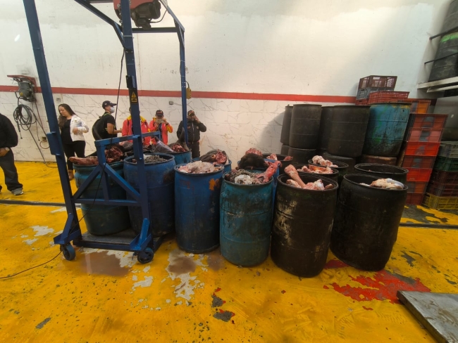 Sancionada industria ilegal de carnes en Kennedy