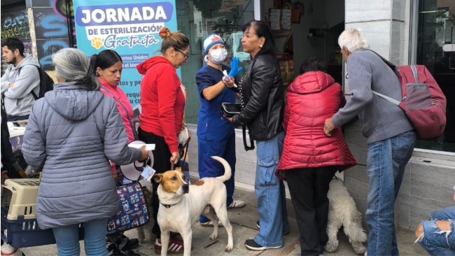 Jornada de esterilización en Barrios Unidos