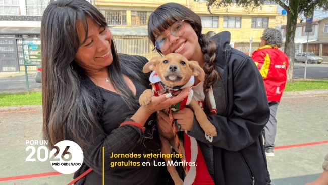 Atención veterinaria gratis en Los Mártires