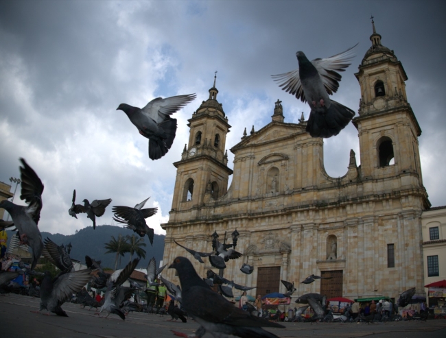 Paz Candelaria