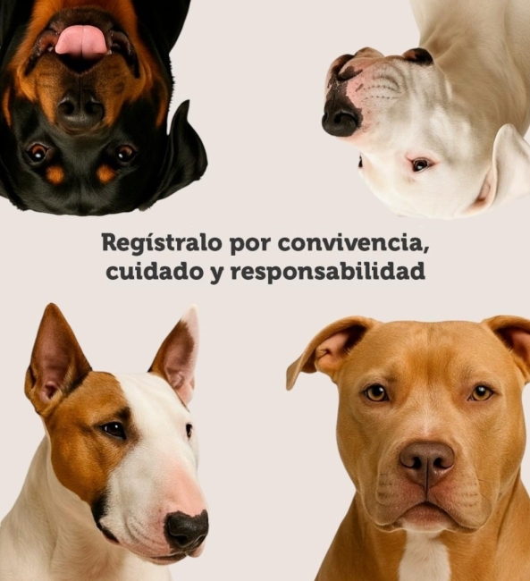 Registro de perros de manejo especial