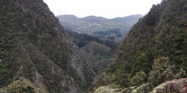 Santa Fe aprueba hoja de ruta ambiental para 2025