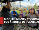 Mantenimiento y cuidado para los árboles de Puente Aranda