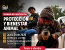 Capacitación en protección y bienestar animal en Tunjuelito  