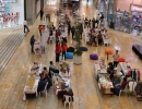 Emprendimientos verdes participando en la Ecoferia en Metropolis