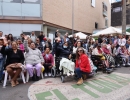 Fotografía relacionada con: Tunjuelito celebró la diversidad y el talento local en el gran Festival de la Inclusión Todos Somos Parte